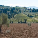 Vista panoramica del borgo toscano famoso per i suoi vini premiati.