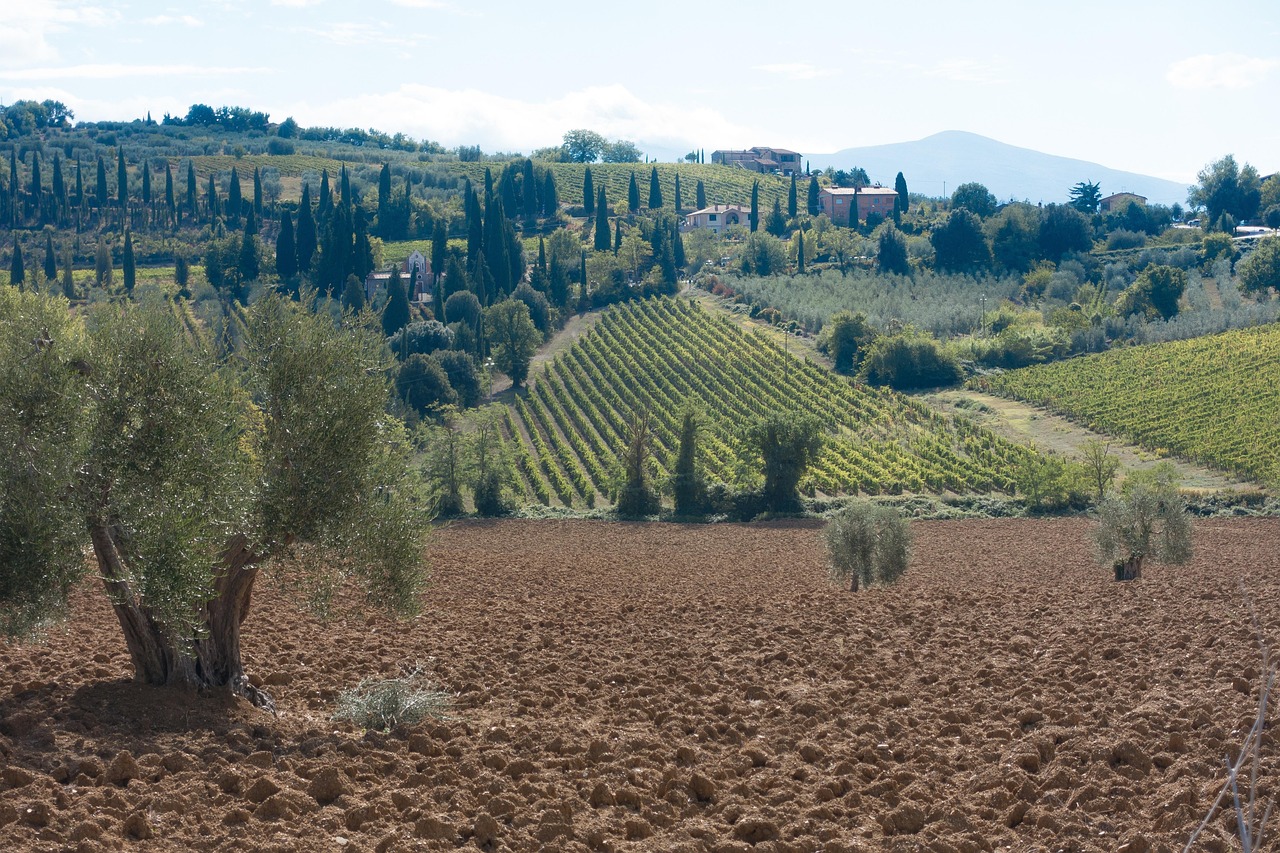 Vista panoramica del borgo toscano famoso per i suoi vini premiati.