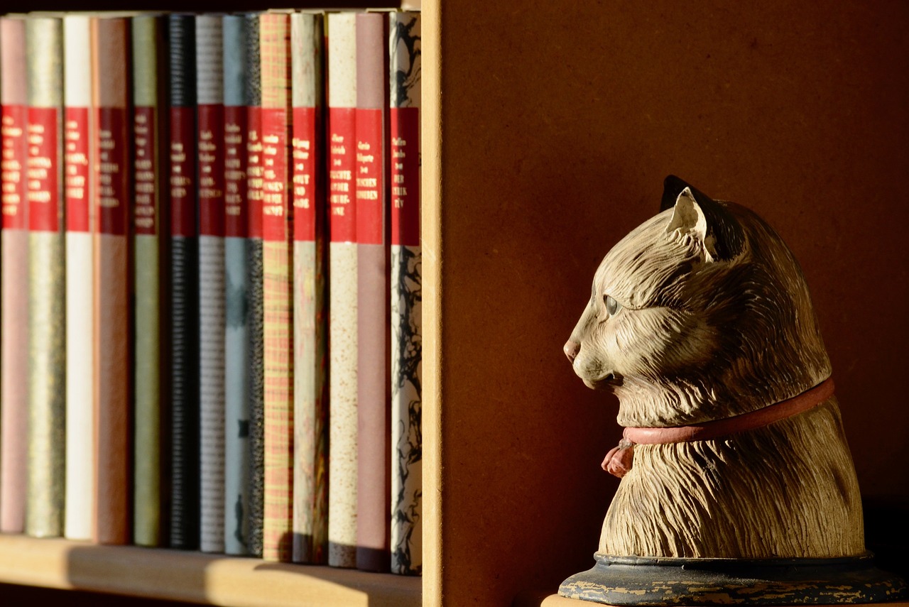 Vicolo incantato con gatti e libri, un'atmosfera poetica in un borgo italiano.