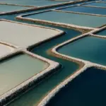 A cosa servono le saline: guida completa al funzionamento e agli usi
