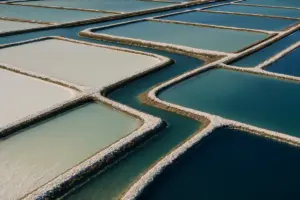 A cosa servono le saline: guida completa al funzionamento e agli usi